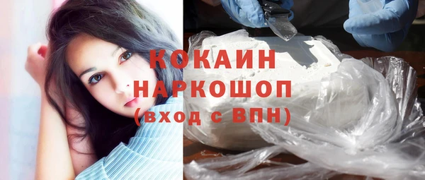 дживик Инта