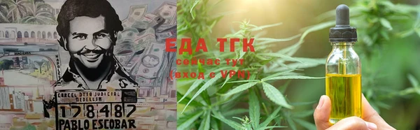 дживик Инта