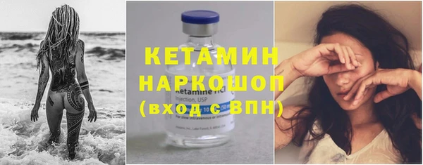 дживик Инта
