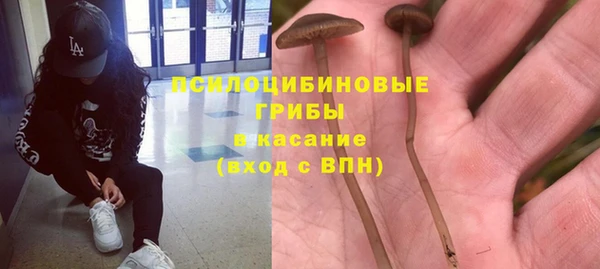 mdpv Иннополис
