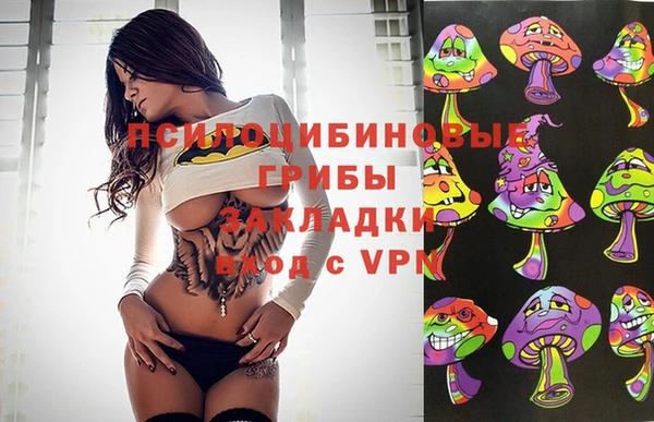 дживик Инта