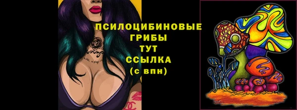 mdpv Иннополис