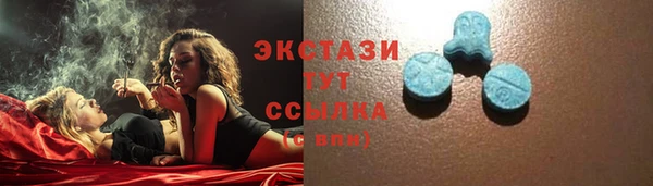 дживик Инта