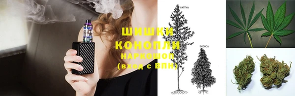 дживик Инта