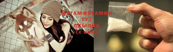 дживик Инта