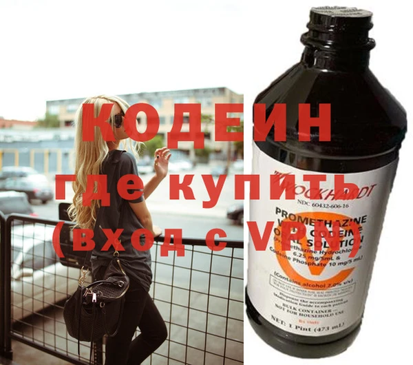 дживик Инта