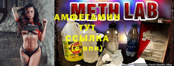 дживик Инта