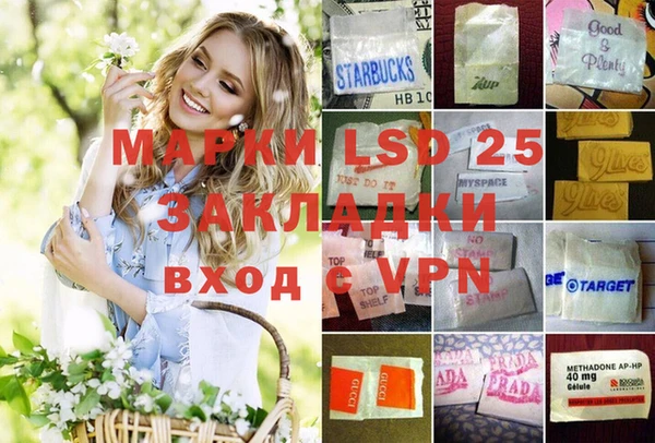дживик Инта