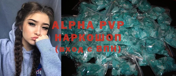 дживик Инта