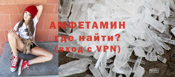 твердый Гатчина