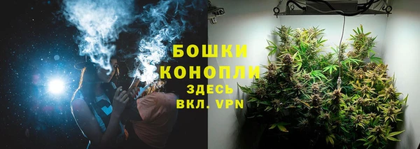 дживик Инта