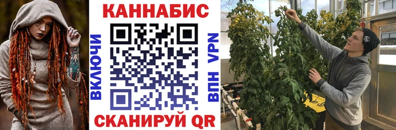 Шишки марихуана SATIVA & INDICA  Купить где  Елабуга 